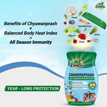 https://cdn.shopify.com/s/files/1/1857/6931/products/Pk8PCXNeuF.png?v=1700718909